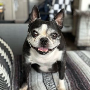 Meet your Posher, Nikki